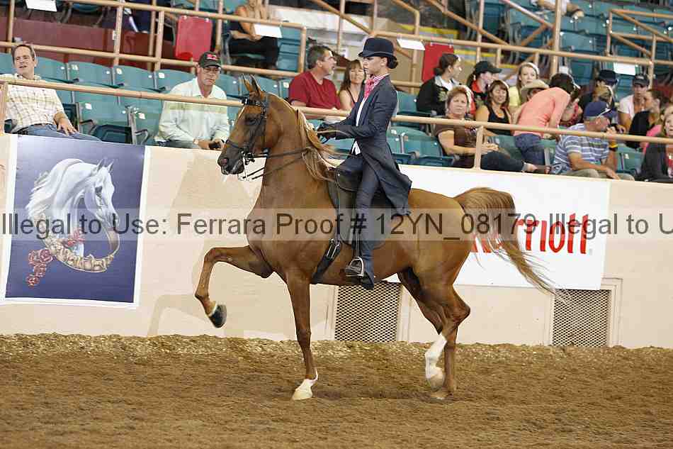 Proof 12yn_08179