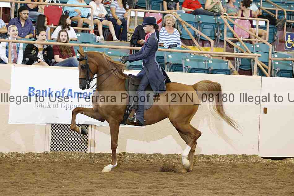 Proof 12yn_08180