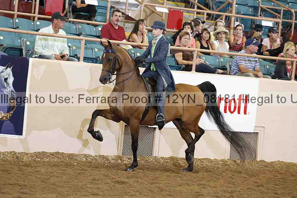 Proof 12yn_08181