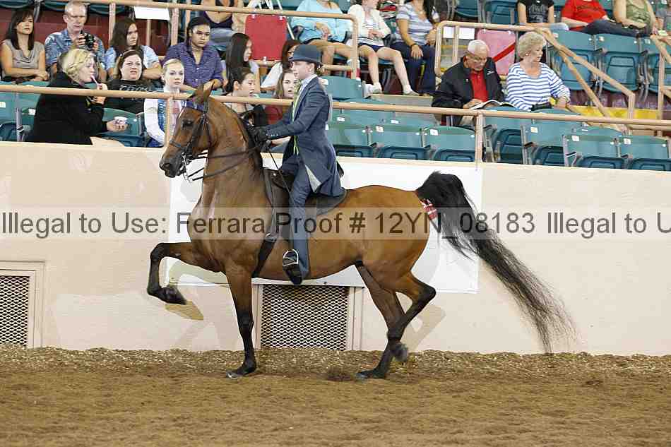 Proof 12yn_08183