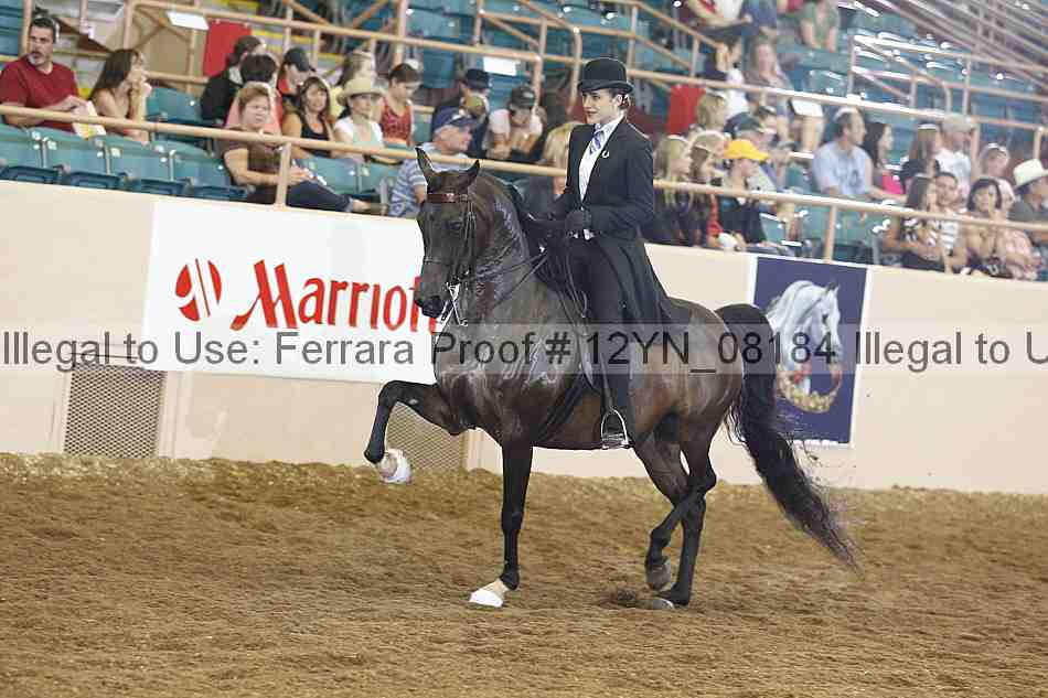 Proof 12yn_08184