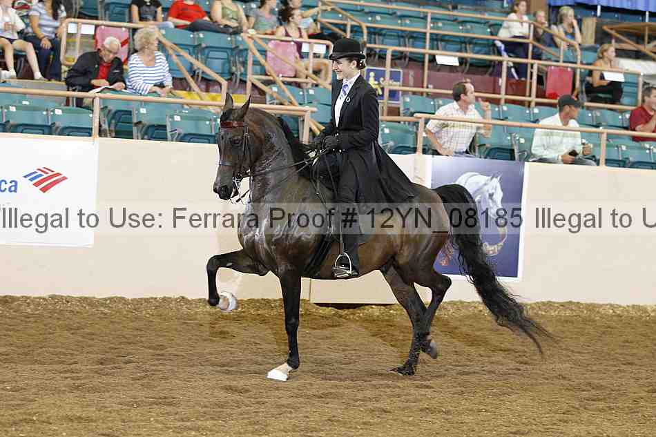 Proof 12yn_08185