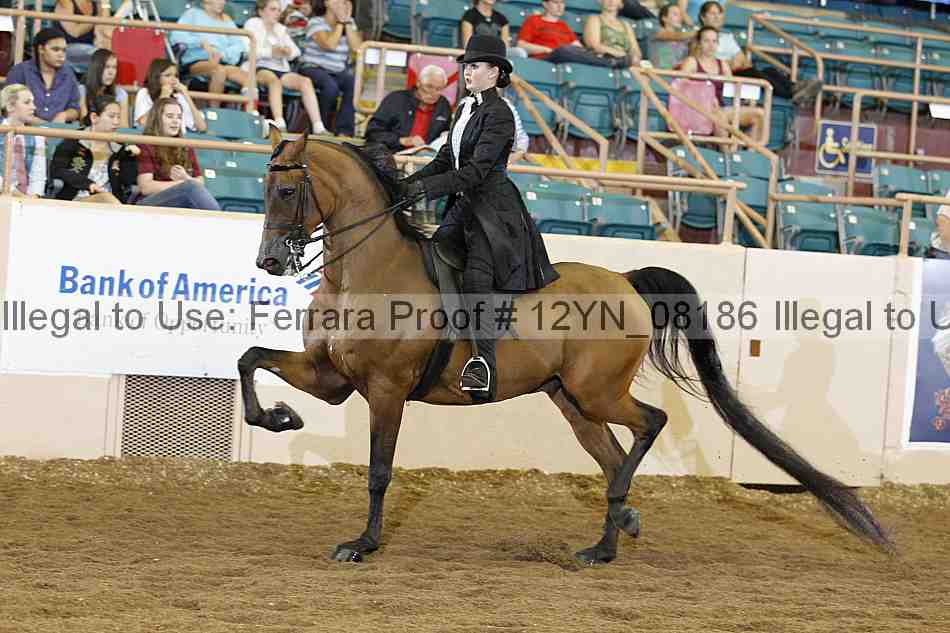 Proof 12yn_08186