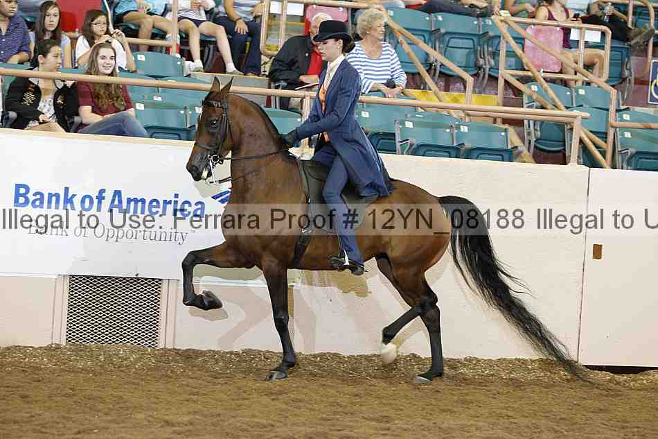 Proof 12yn_08188