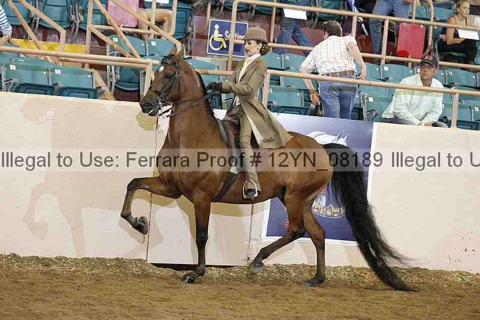 Proof 12yn_08189