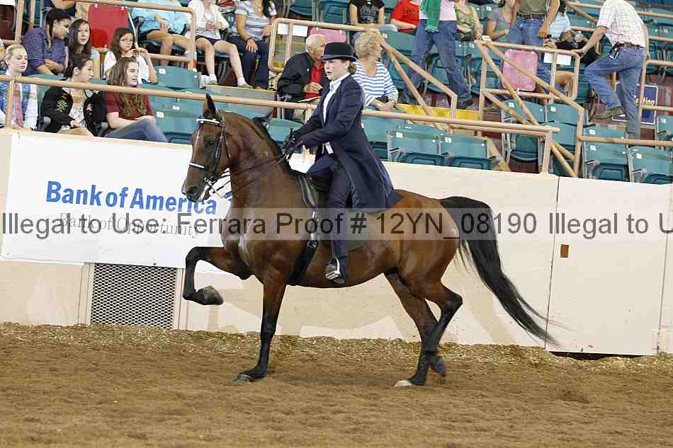 Proof 12yn_08190