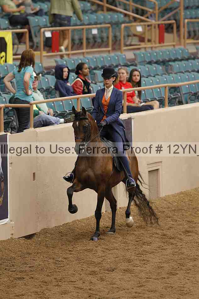 Proof 12yn_08191