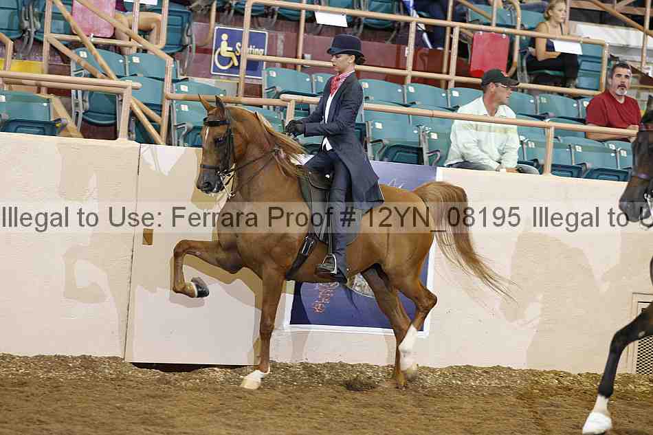Proof 12yn_08195
