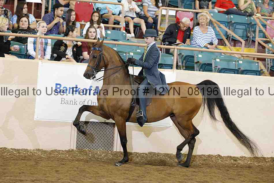 Proof 12yn_08196