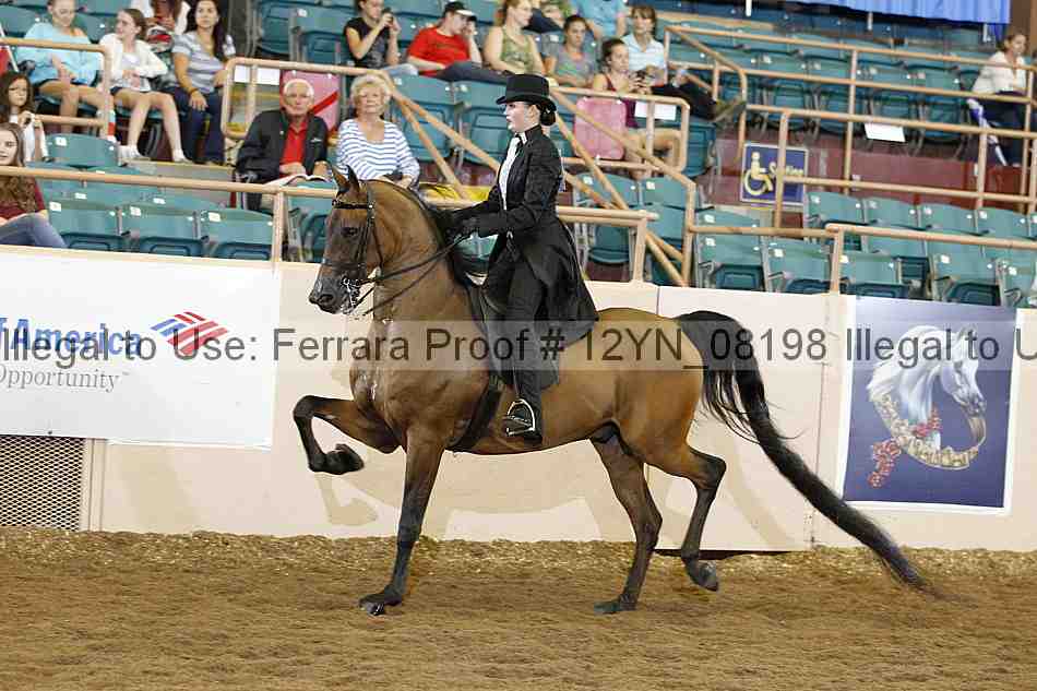 Proof 12yn_08198