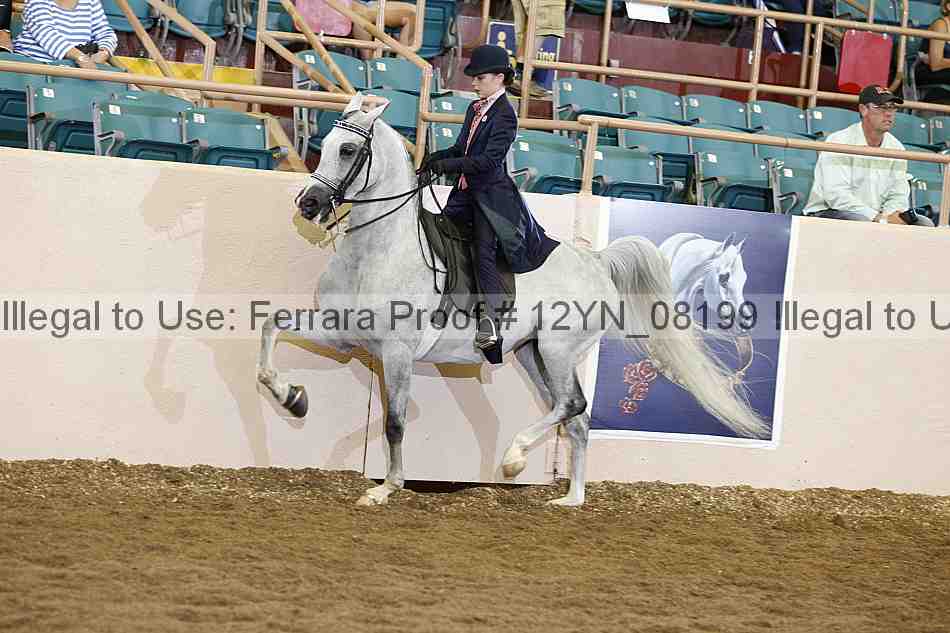 Proof 12yn_08199