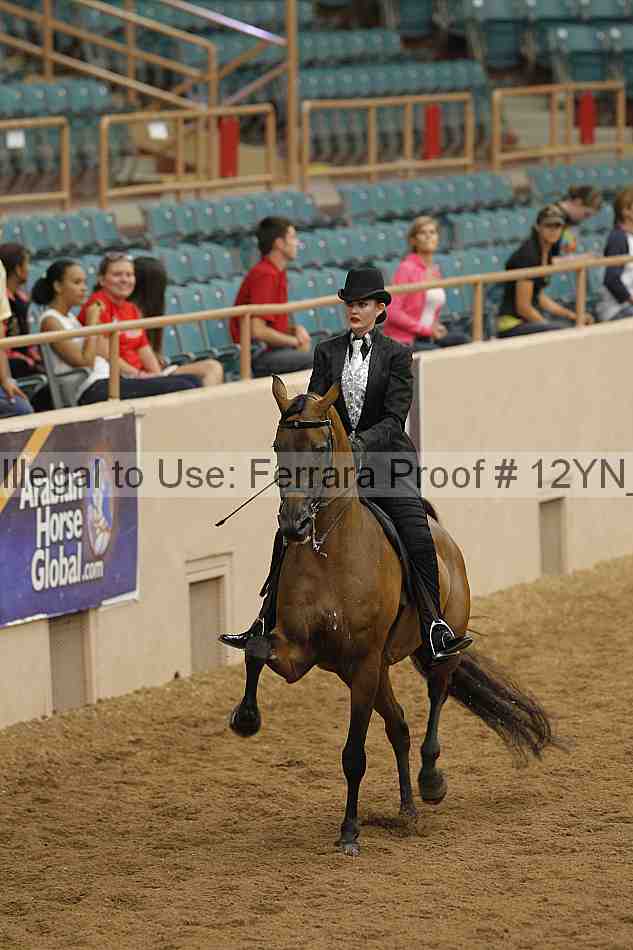 Proof 12yn_08201