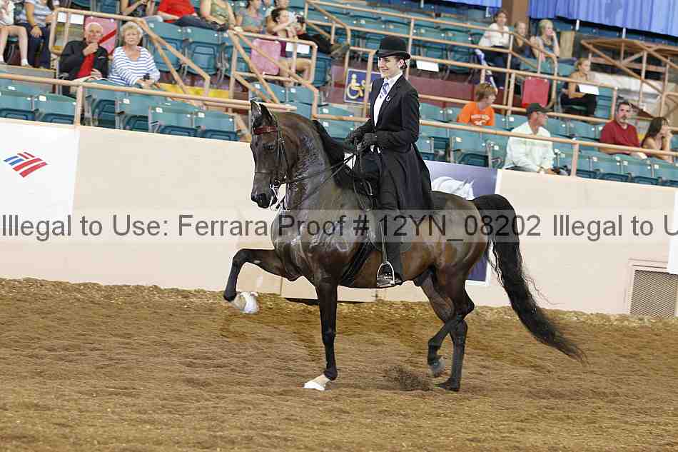 Proof 12yn_08202