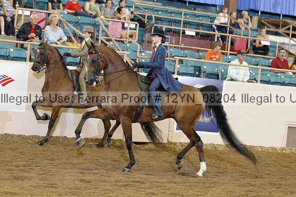 Proof 12yn_08204