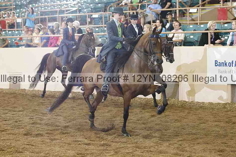 Proof 12yn_08206