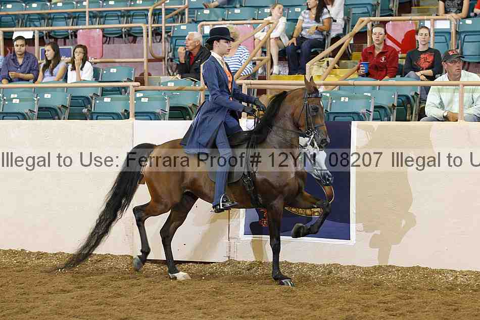 Proof 12yn_08207