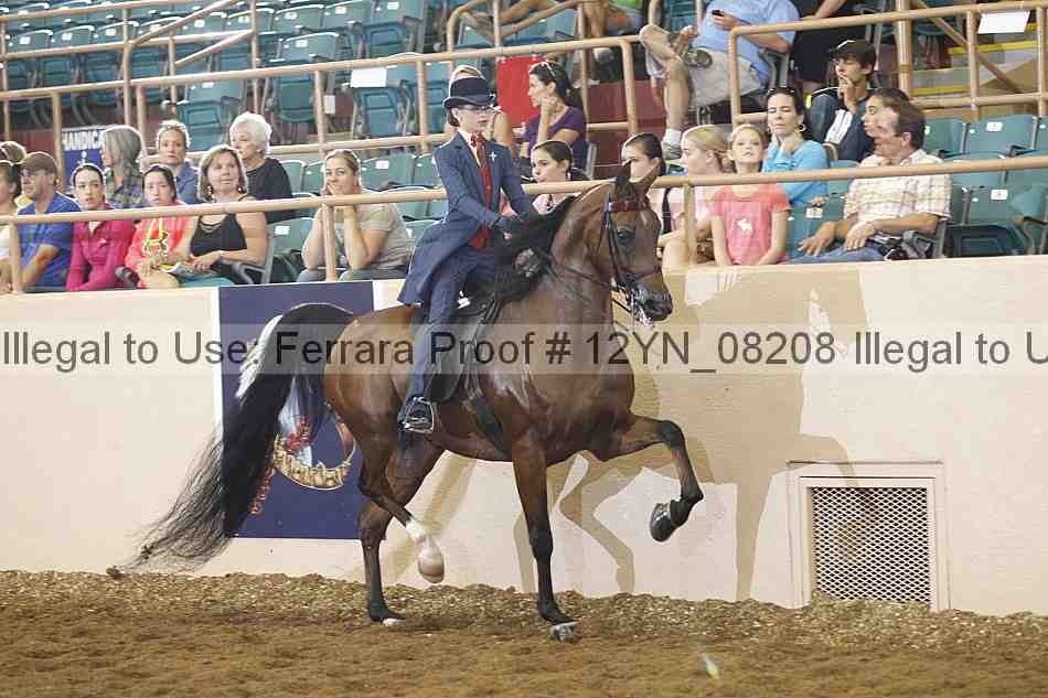 Proof 12yn_08208