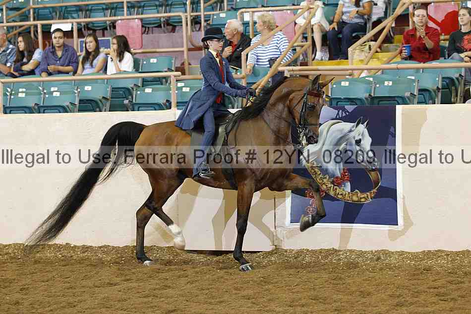 Proof 12yn_08209
