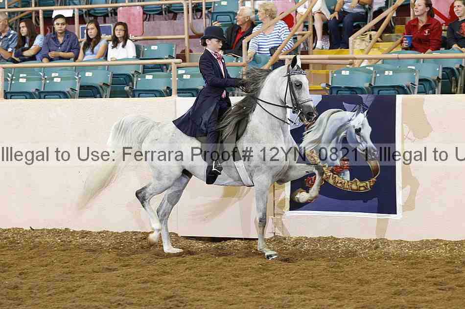 Proof 12yn_08211