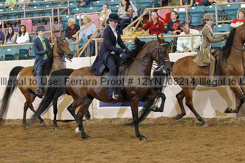 Proof 12yn_08214
