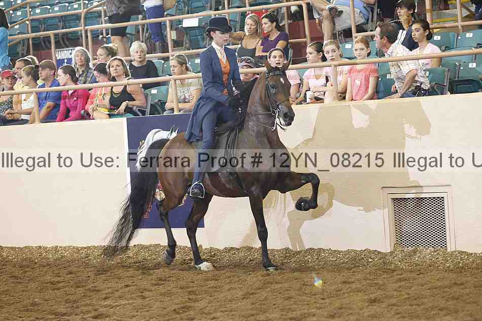 Proof 12yn_08215