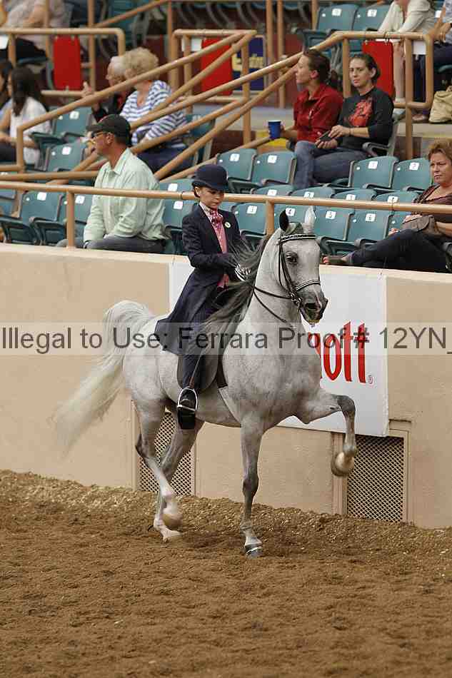 Proof 12yn_08216