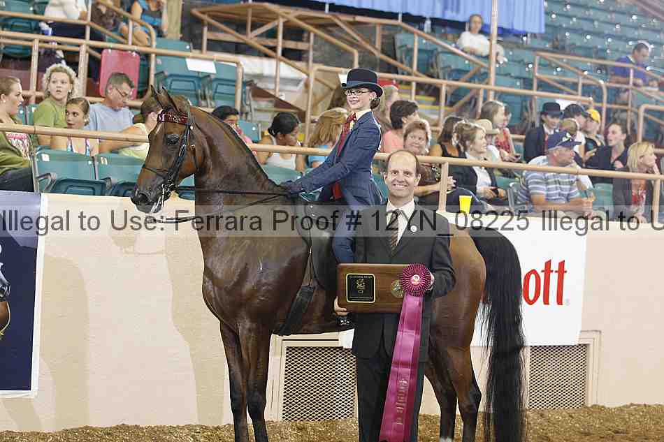 Proof 12yn_08225