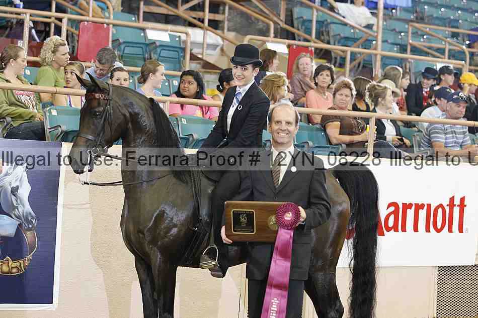 Proof 12yn_08228