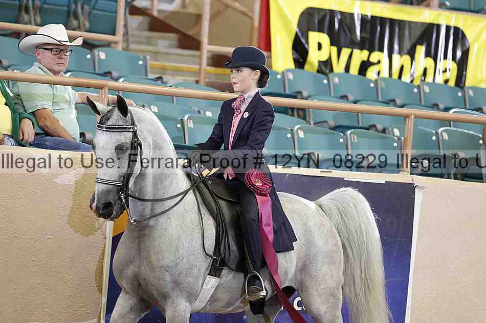 Proof 12yn_08229
