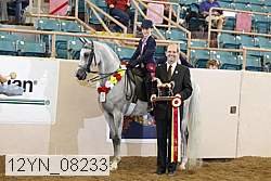 12yn_08233 proof