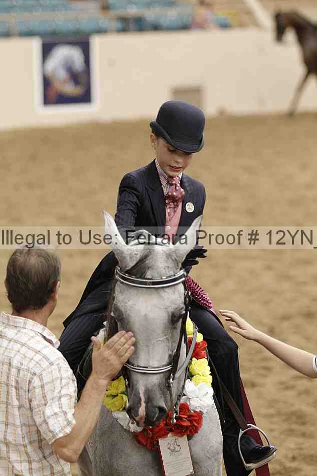 Proof 12yn_08239