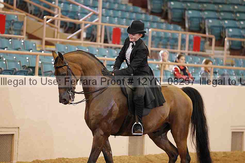 Proof 12yn_08257