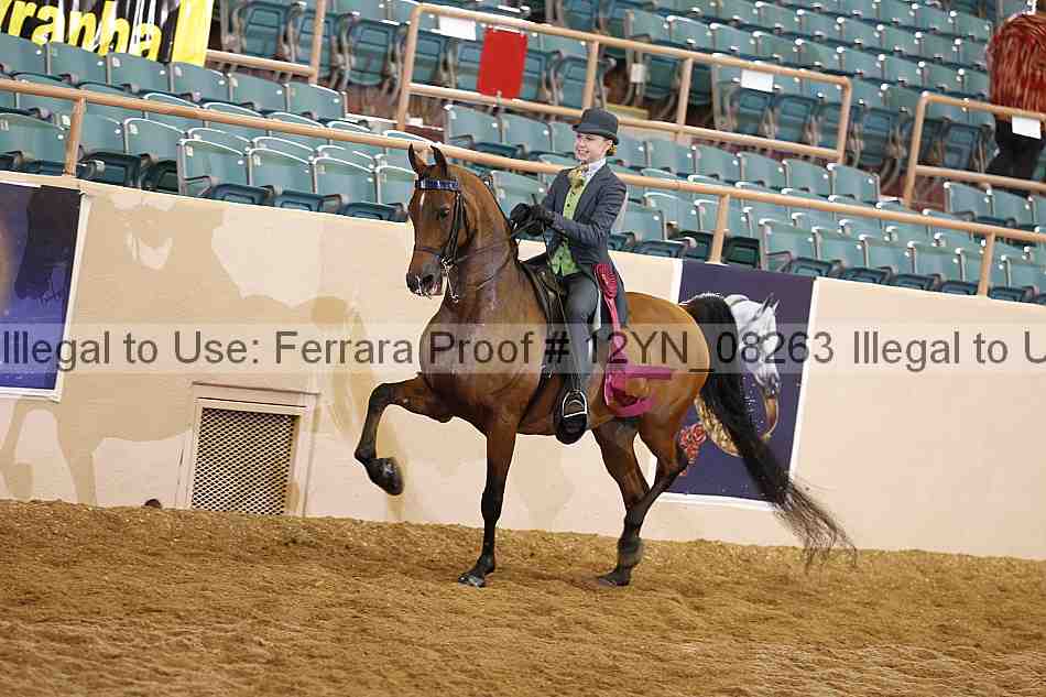 Proof 12yn_08263