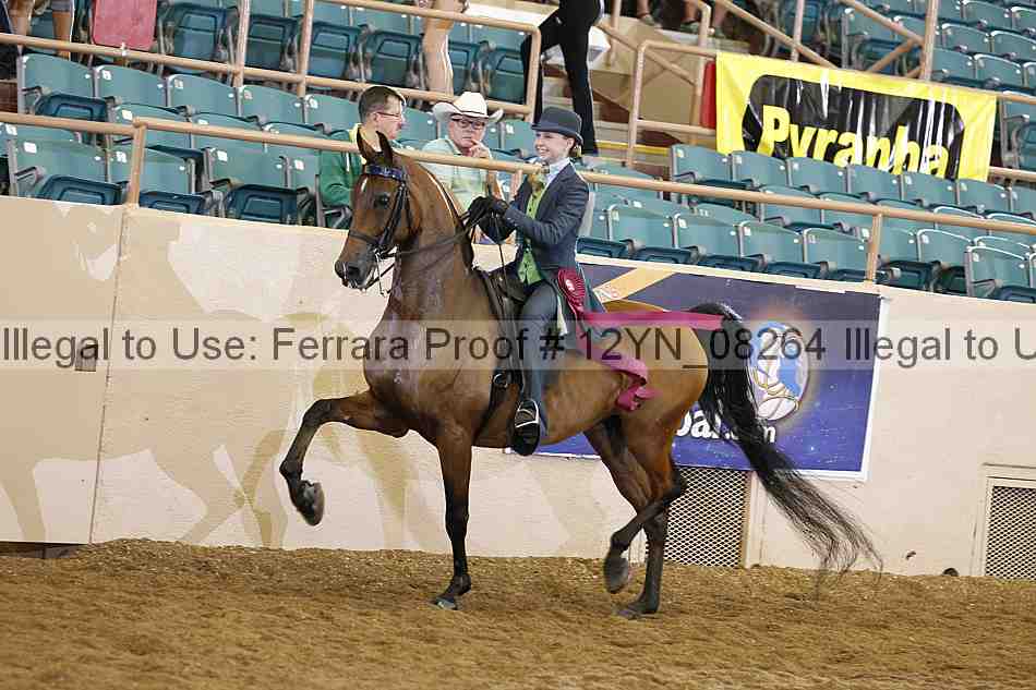Proof 12yn_08264