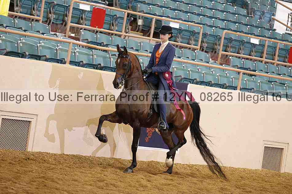 Proof 12yn_08265