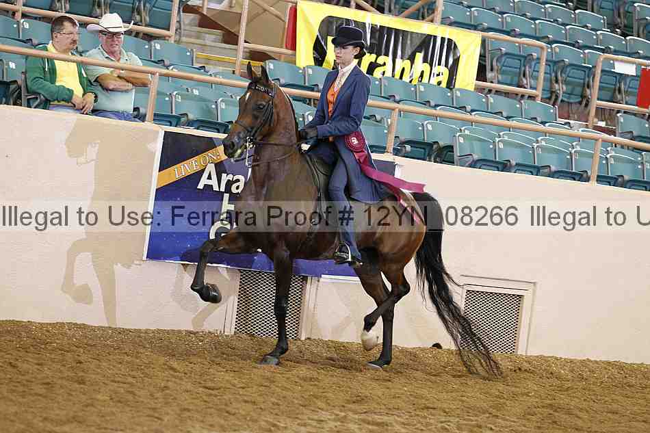 Proof 12yn_08266