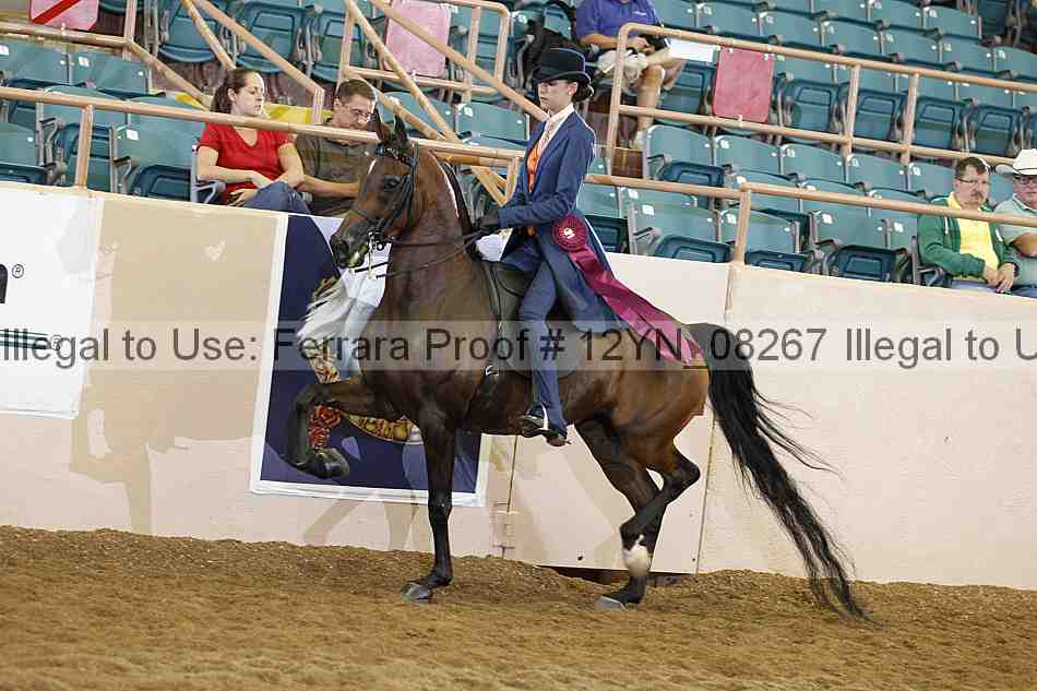 Proof 12yn_08267