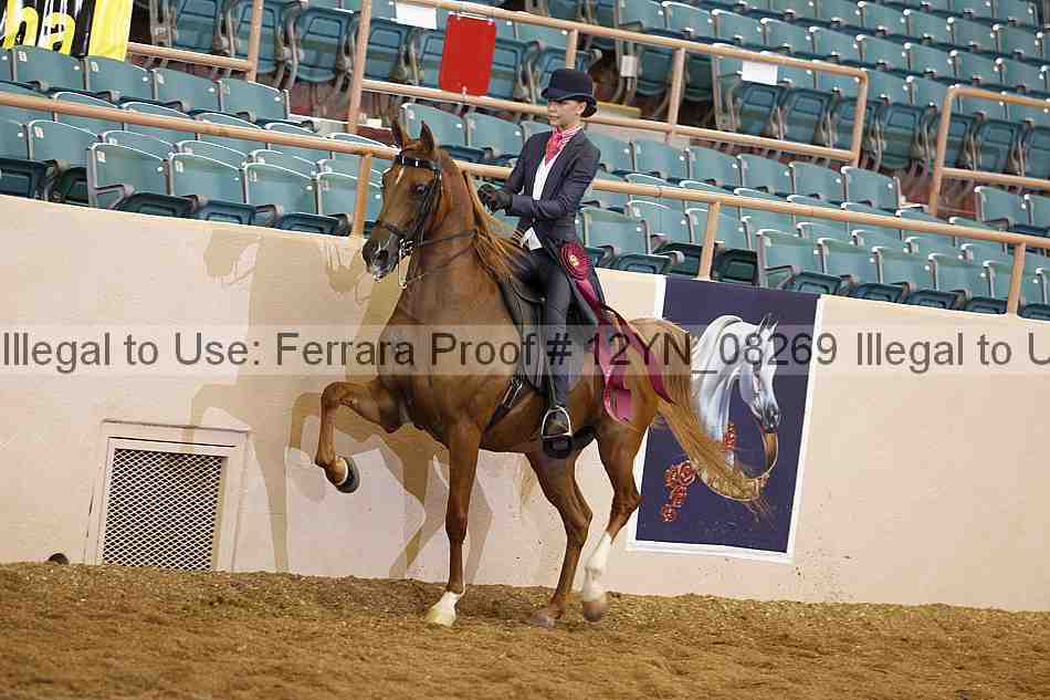 Proof 12yn_08269