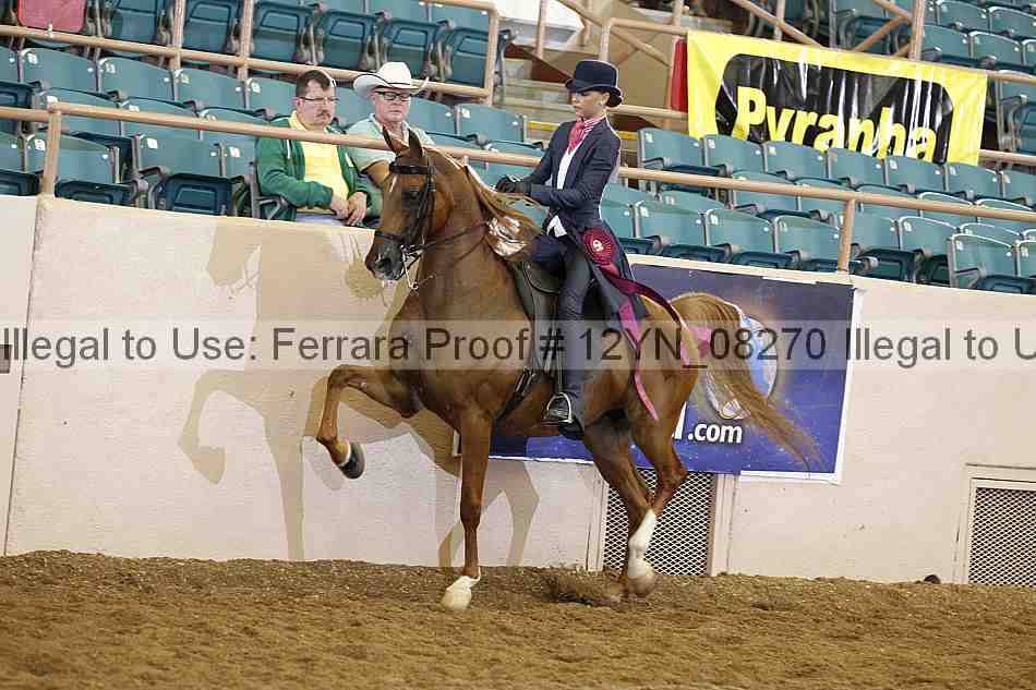 Proof 12yn_08270