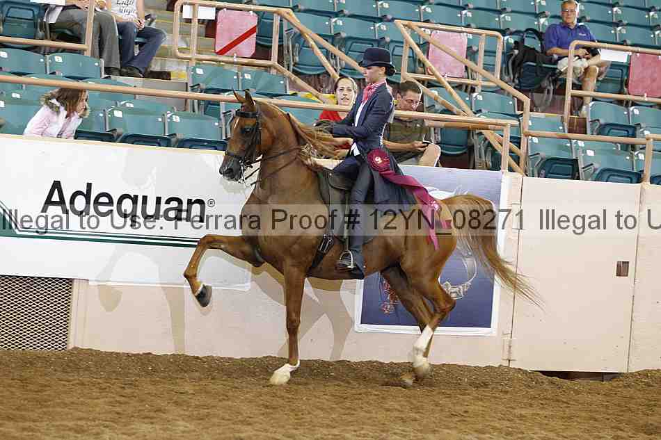 Proof 12yn_08271