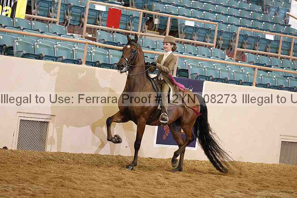 Proof 12yn_08273