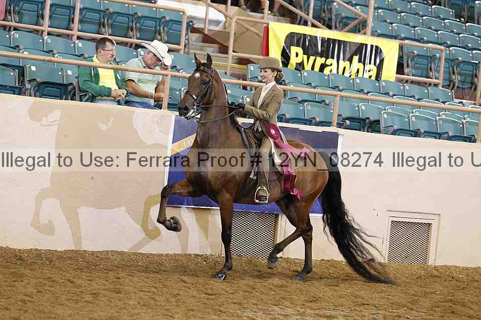 Proof 12yn_08274