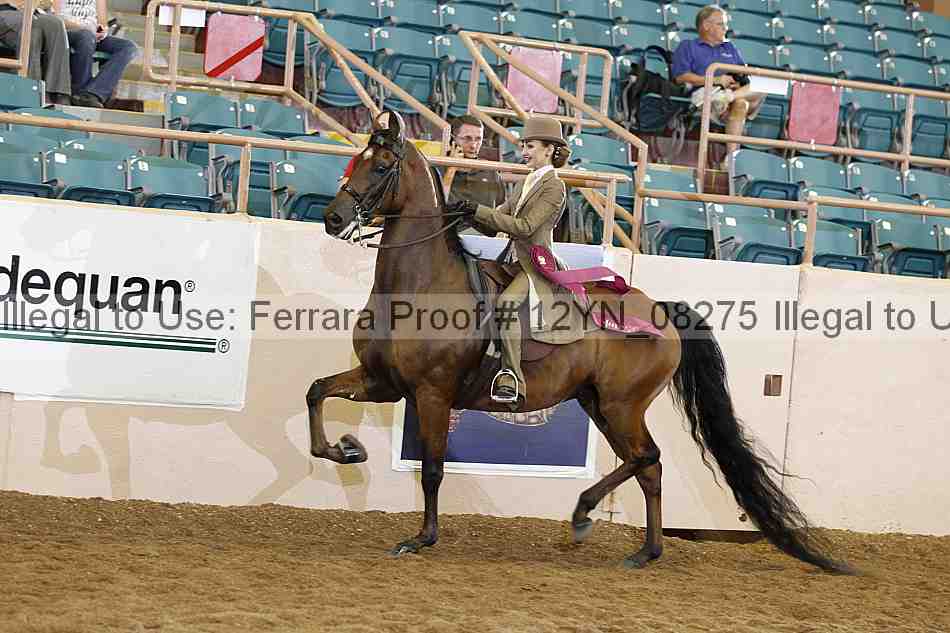 Proof 12yn_08275