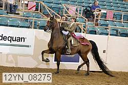 12yn_08275 proof