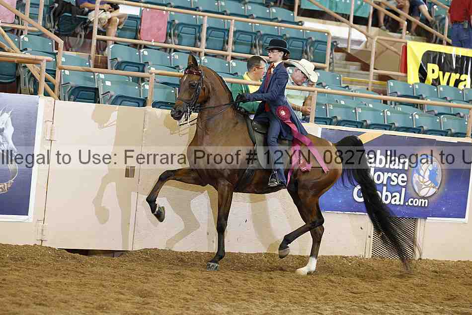 Proof 12yn_08279
