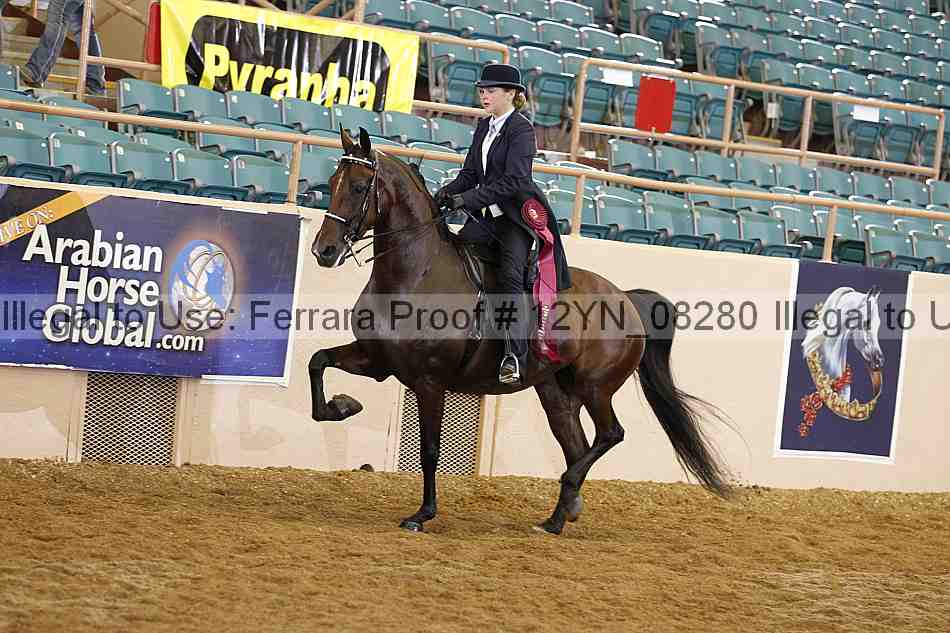 Proof 12yn_08280