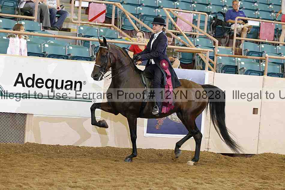 Proof 12yn_08281
