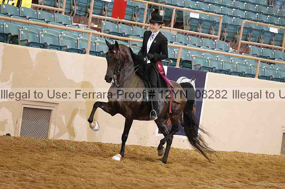 Proof 12yn_08282