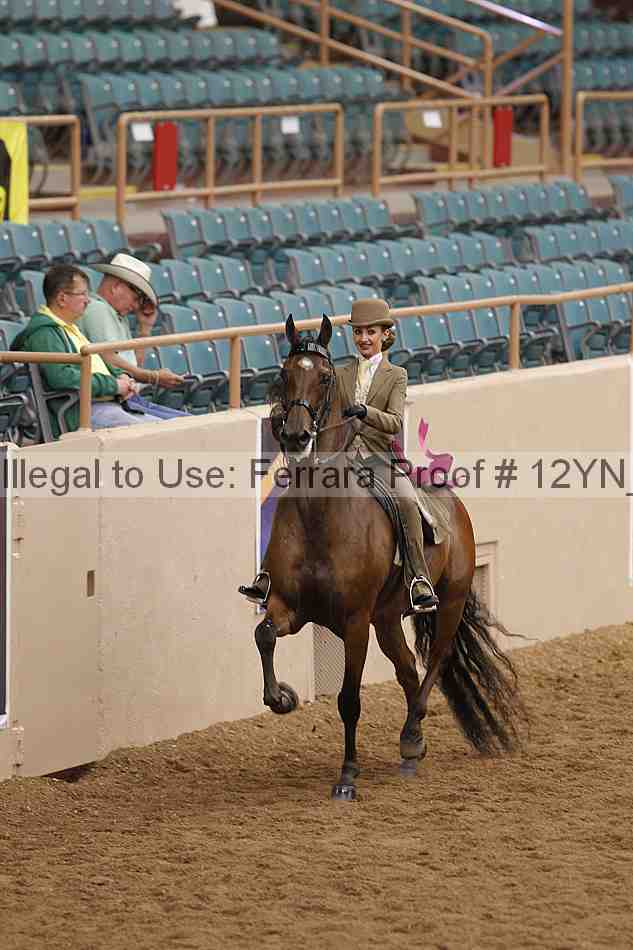 Proof 12yn_08283