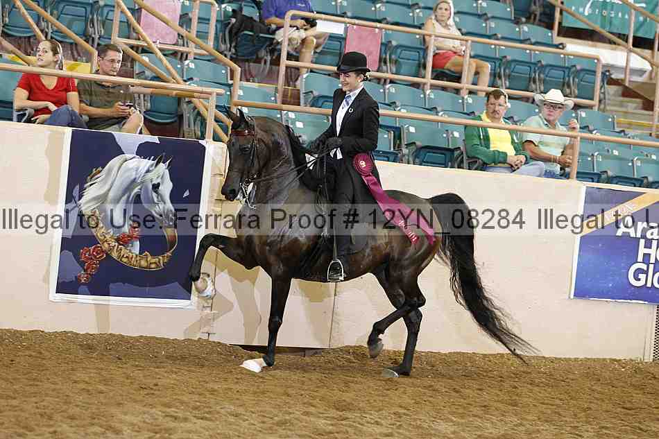 Proof 12yn_08284